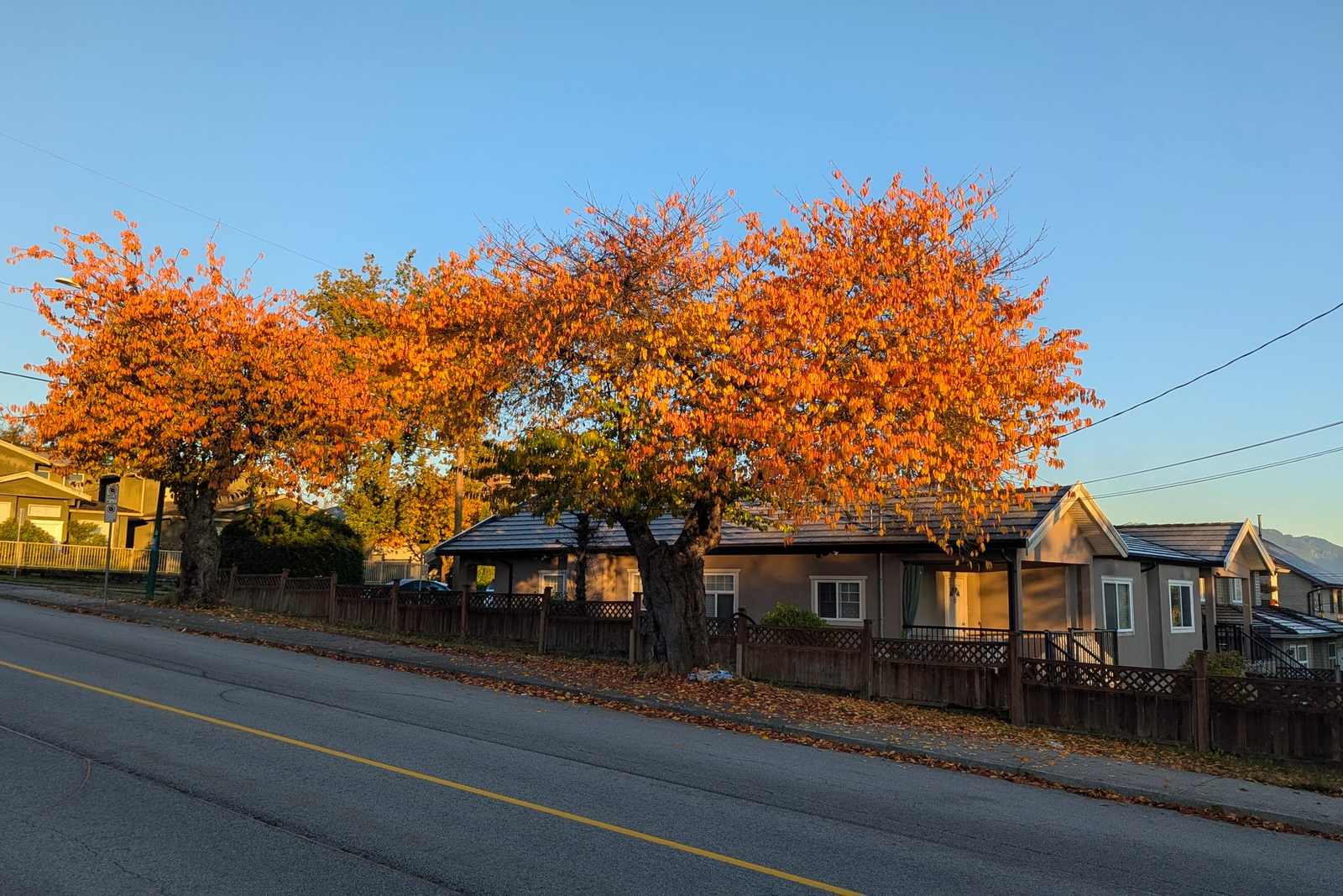A quiet residential street in fall